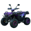 Квадроцикл SP125-11 5