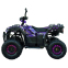 Квадроцикл SP125-11 6