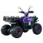 Квадроцикл SP125-11 8