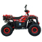Квадроцикл SP125-11 3