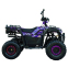 Квадроцикл SP125-11 2