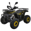 Квадроцикл SP125-12 2