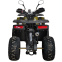 Квадроцикл SP125-12 4