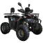 Квадроцикл SP125-12Е 0