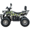 Квадроцикл SP125-13 4