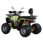 Квадроцикл SP125-15 7