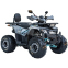 Квадроцикл SP125-8 3