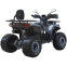 Квадроцикл SP150-5 11