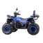 Квадроцикл SP200-10 3