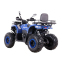 Квадроцикл SP200-10 4