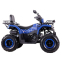 Квадроцикл SP200-10 7