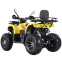 Квадроцикл SP200-10Е 4