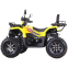 Квадроцикл SP200-10Е 5