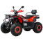 Квадроцикл SP200-11 (довга база) 4