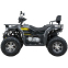 Квадроцикл SP200-11Е 5