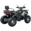 Квадроцикл SP200-11Е 8