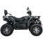 Квадроцикл SP200-11Е 2