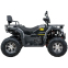 Квадроцикл SP200-11Е 0