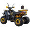 Квадроцикл SP200-4 6