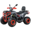 Квадроцикл SP200-5 4