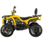 Квадроцикл SP200-5Е 4