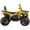 Квадроцикл SP200-5Е 8