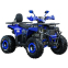 Квадроцикл SP150-5 0