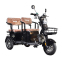 Трицикл з електромотором Spark Force 1000w 1