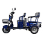 Трицикл з електромотором Spark Force 1000w 4