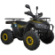 Квадроцикл SP125-12