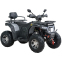Квадроцикл SP200-11Е